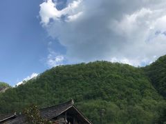 景点-黑河国家森林公园