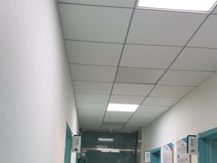 -北京观赏动物医院·24小时大型综合·猫专科·异宠专科