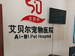 -艾贝尔宠物医院 ·内科全科(梁溪路店)