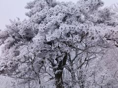 -安吉龙王山风景区
