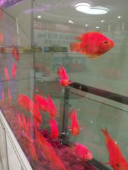 -成都军建医院·疤痕诊疗中心