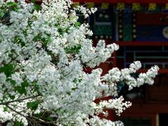-国家植物园