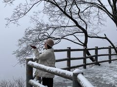 -少华山国家森林公园