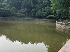 -西南政法大学(沙坪坝校区)