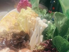 -百草滩羊清水涮羊肉·清真·宁夏盐池滩羊(莲花桥店)