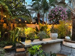 -自由生长植物工作室(深港花卉中心店)