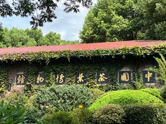 -中国茶叶博物馆(双峰馆区)