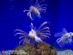 -常州海昌海洋探索馆