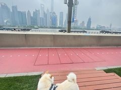 -北外滩滨江绿地