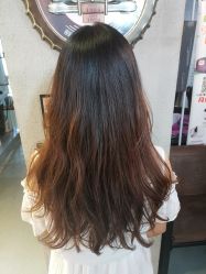 -Z.F私人订制
