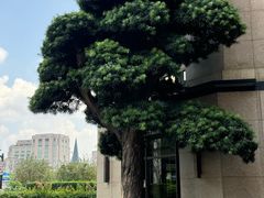 -上海苏宁宝丽嘉酒店·嘉府壹号中餐厅