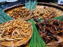-昆虫窝子·特色云南菜(拓东路总店)