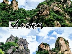 -大岭沟猕猴桃谷风景区