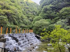 -少华山国家森林公园