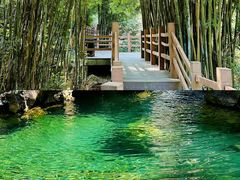 -南海湾森林生态园