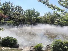 -上海滨江森林公园