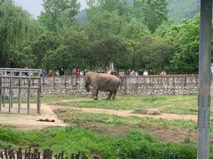 -西安秦岭野生动物园