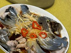 -煲来饱去冷水鱼