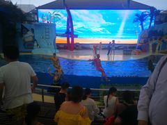 三亚海昌海洋不夜城-三亚海昌梦幻海洋不夜城