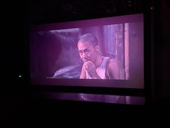 -SFC上影影城(港汇永华IMAX激光店)