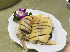 白斩鸡-东康桂家农庄