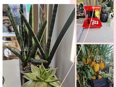 -猫王榴莲世家(三里屯SOHO商场店)