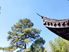 -木子山庄·安徽省老字号·中国炖锅宴
