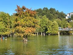-青山湖景区