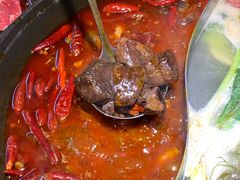 -阳阳老火锅(小南门店)