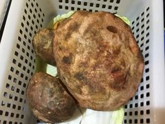 -易门野生菌府·菌海森林(月牙潭公园店)