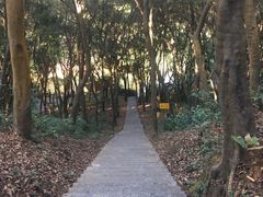 -广州市帽峰山景区