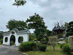 -东莞植物园