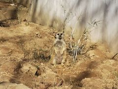 -宁波野生动物园