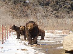 -沈阳森林动物园