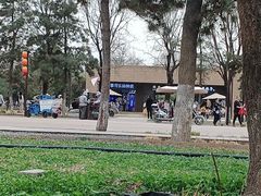 -汉长安城未央宫国家考古遗址公园