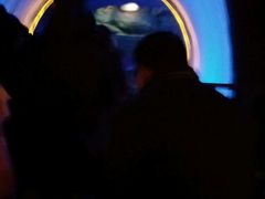 -郑州方特梦幻王国