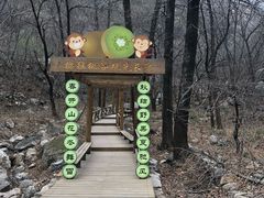 -大岭沟猕猴桃谷风景区