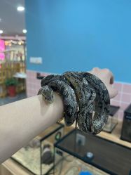 -Moni星球萌宠·小马宝莉·灵蛇·高端高阶全萌宠互动体验俱乐部(红豆国际广场店)