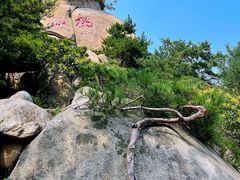 -崂山仰口游览区