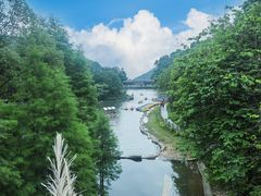 -广州市帽峰山景区