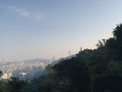 -仙岳公园