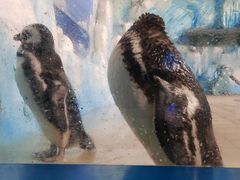 -常州海昌海洋探索馆