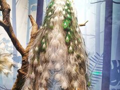 -陕西自然博物馆