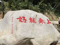-普陀山风景区-佛顶山