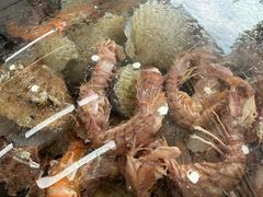 -仙螺岛海鲜自助餐厅(总店)