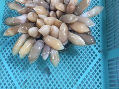 -冯姐生蚝(迎宾广场店)