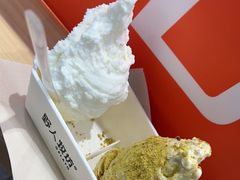 -野人先生现做冰淇淋(西安赛格店)