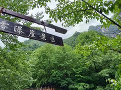 -青峰峡国家森林公园