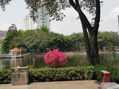 -荔湾湖公园