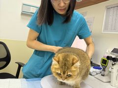 -美联众合动物医院·24h转诊中心